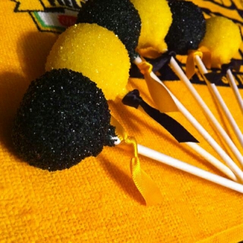 12027661_1008705099181451_8814326719561197703_n